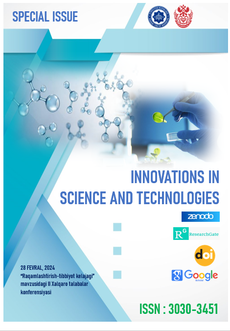 View Vol. 1 No. 3 (2024): Special Issue